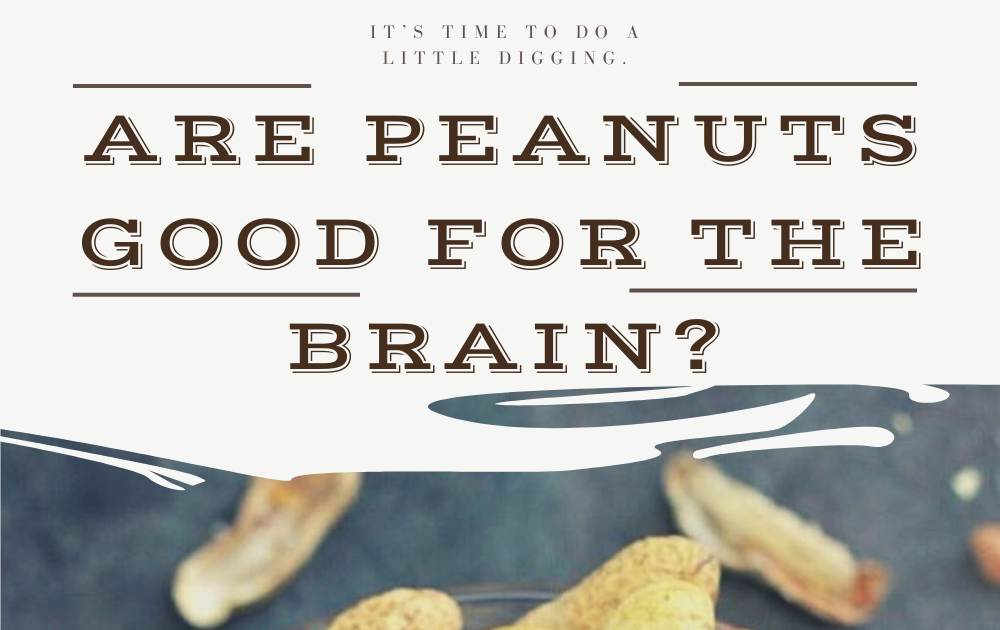 Are Peanuts Good for The Brain?
