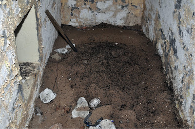 Странна мравешка колония живее в изоставен атомен бункер Oo_100892