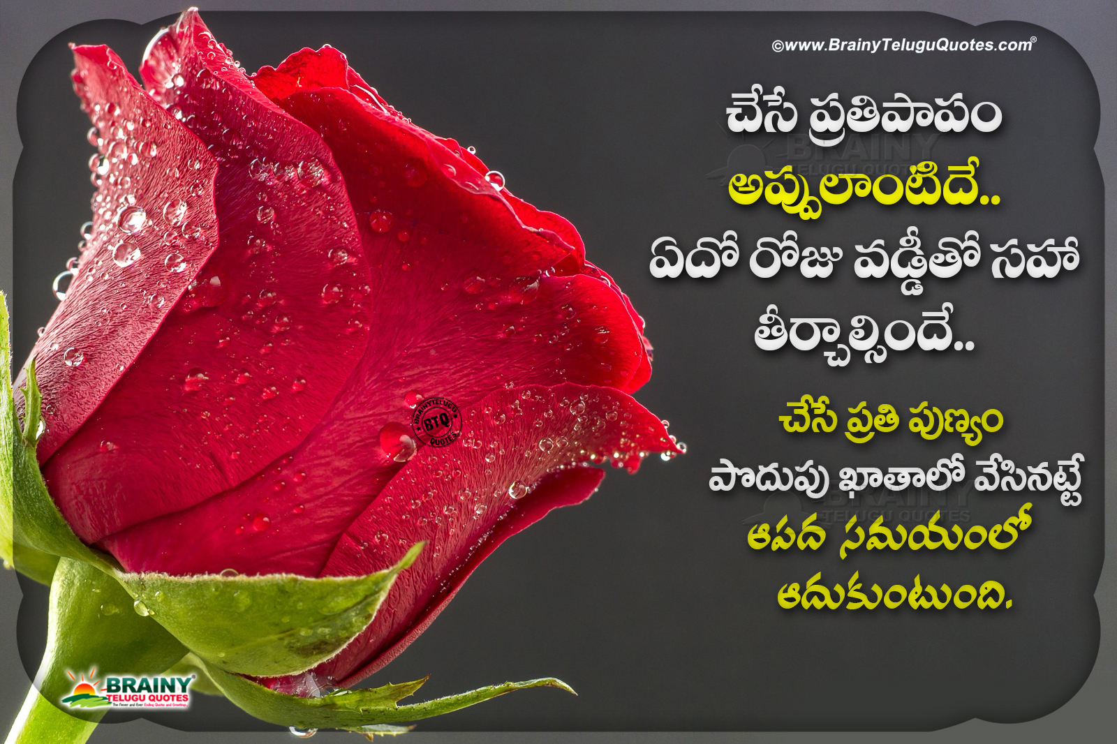 Best Words In Telugu About Life Don T Blame Anyone Without Their Fault Messages In Telugu Brainysms