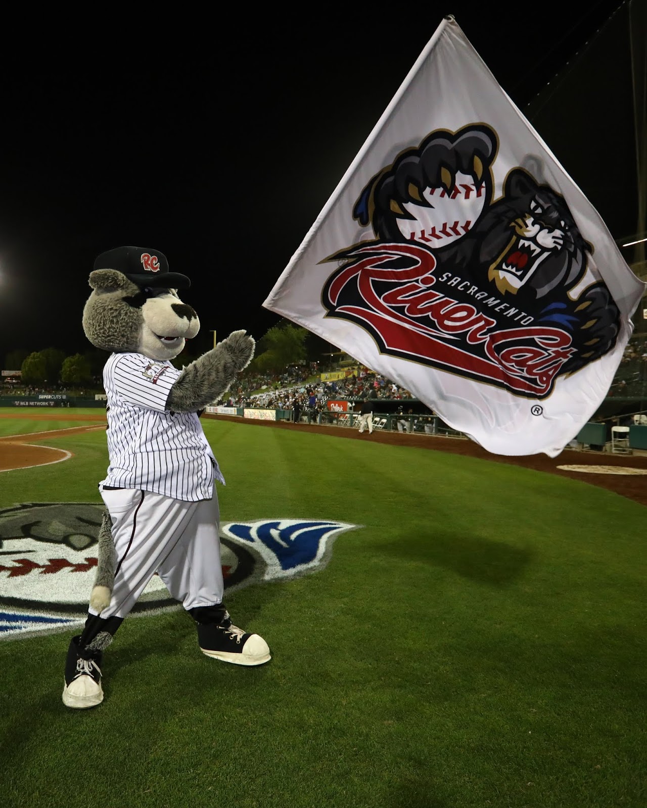 Sacramento River Cats