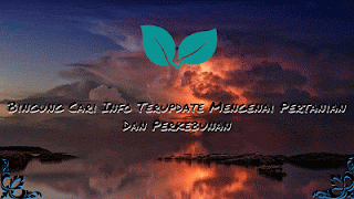 Https Encrypted Tbn0 Gstatic Com Images Q Tbn 3aand9gctcvx Nm5uoliutwhqt4kq0seh45dan3k2 Diwmohydkcyr8i6g