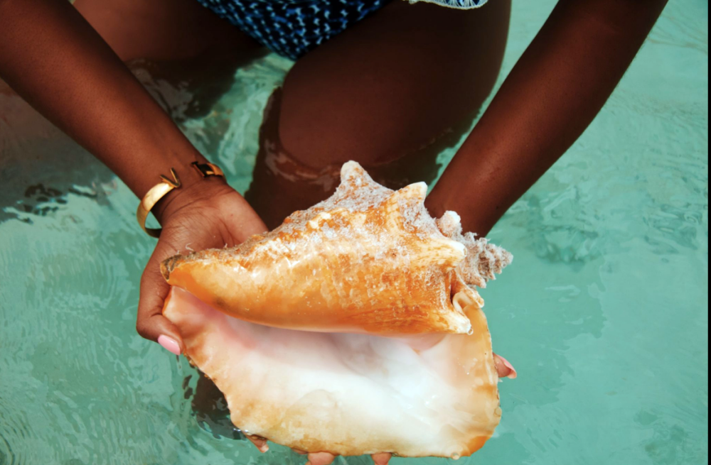 Conch Island — A Huge Cemetery of Millions of Conch Shells