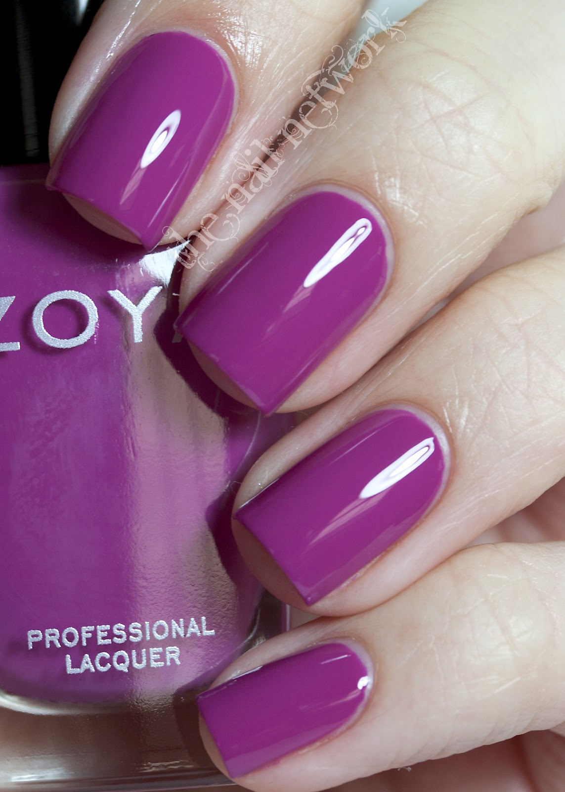 money robot submitter honest review