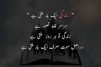 Urdu Quotes About Life