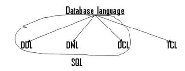 Database languages in DBMS| Explain with syntax - computer science ...