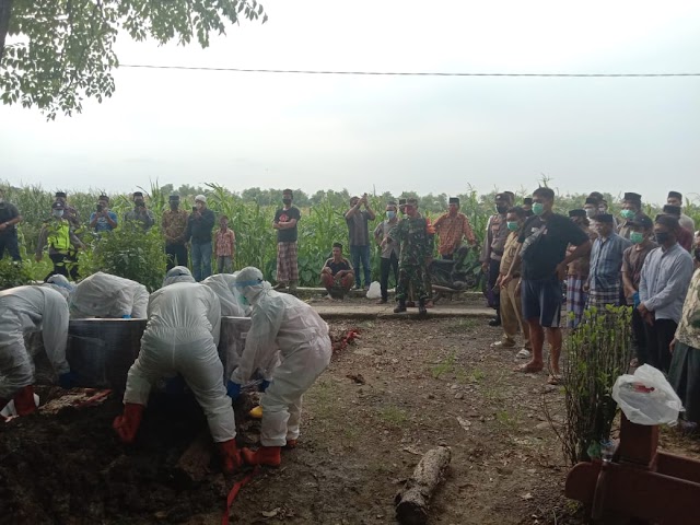 Demam Dan Drop, Warga Kecamatan Guntur Berstatus Terkonfirmasi Dimakamkan Dengan Protokol Covid-19