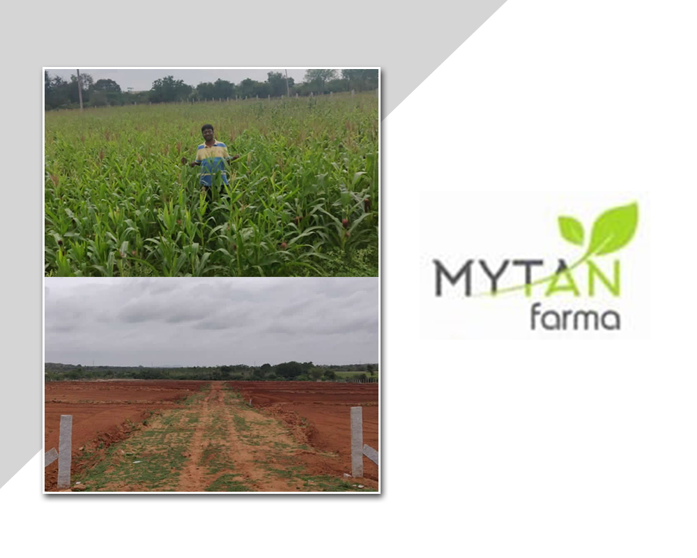 Best Agro Farm Land Company in Bangalore Plan A Holiday Or A Picnic In