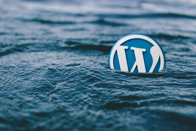 SEO WordPress Plugins