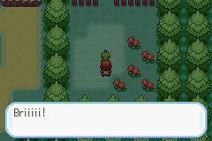 pokemon flare screenshot 4