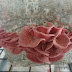 Mushroom training Mushroom spawn supplier in Solapur