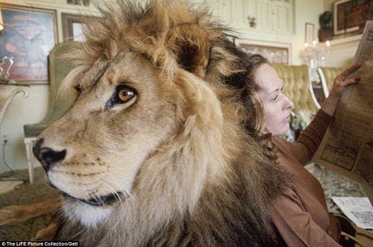 woman living with lion