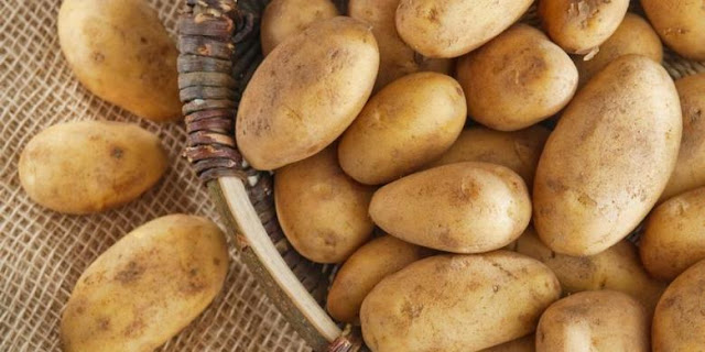 Dengan Bahan Tradisonal Ini, Kulit Wajah Halus Selembut Kulit Bayi Pun Bukan Lagi Sebuah Mimpi! Dengan Bahan Tradisonal Ini, Kulit Wajah Halus Selembut Kulit Bayi Pun Bukan Lagi Sebuah Mimpi!