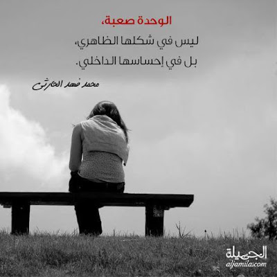 shof_76908f77154e539