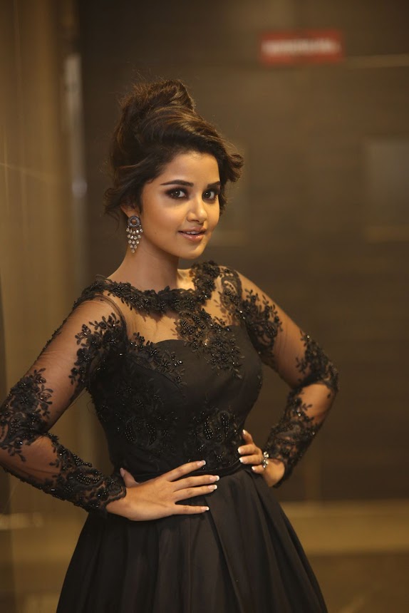 Anupama Parameswaran at Hello Guru Prema Kosame Pre release
