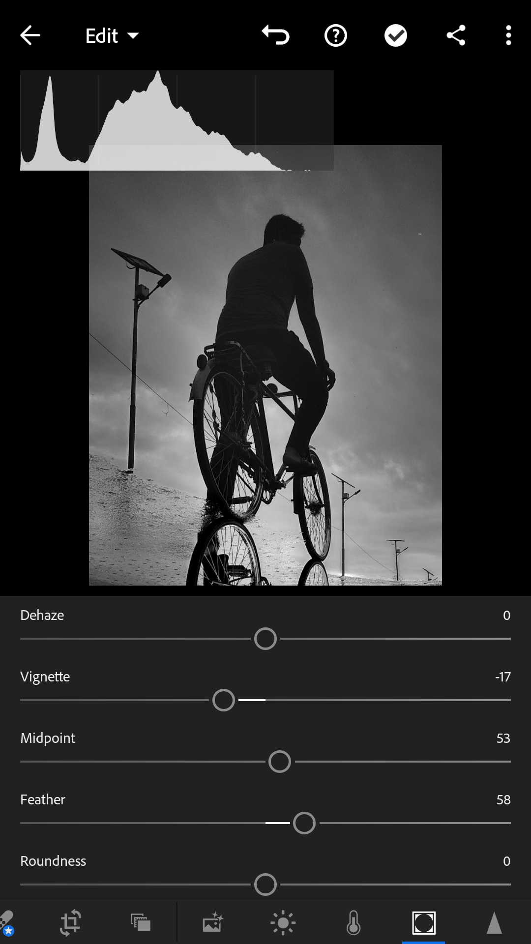REFLECTION PHOTOGRAPHY AND EDIT USING MIRROR EFFECTS