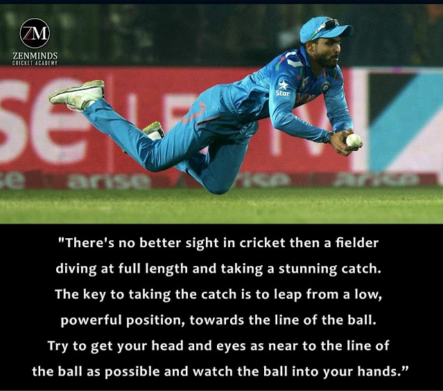 K Karthik Raja's Cricket Strategy Collections Diving and taking a catch