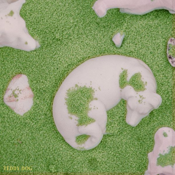 kimujoo – TEDDY DOG – Single