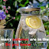 How many calories are in the water?#Do you know