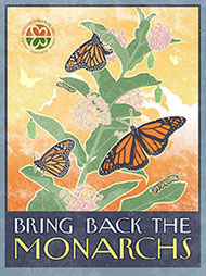 Save The Monarchs