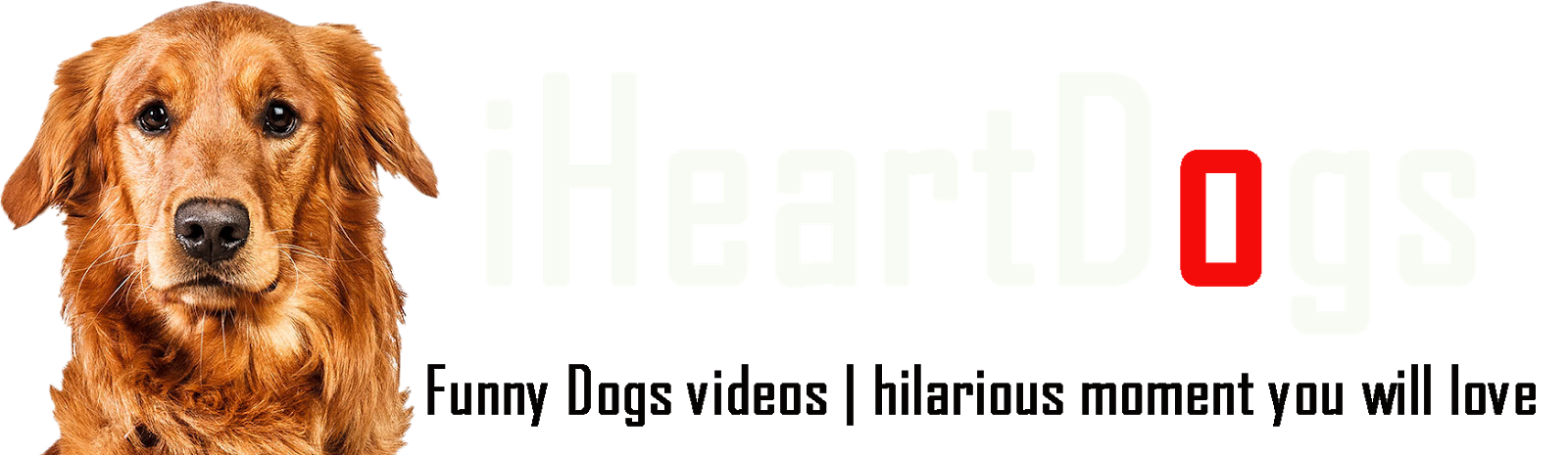 i heart Dogs
