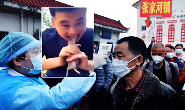 مصدره الفئران ... فيروس هانتا يقتل رجلا صينيا