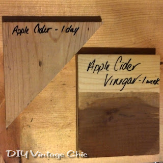 Solution for apple cider vinegar mixed with steel wool