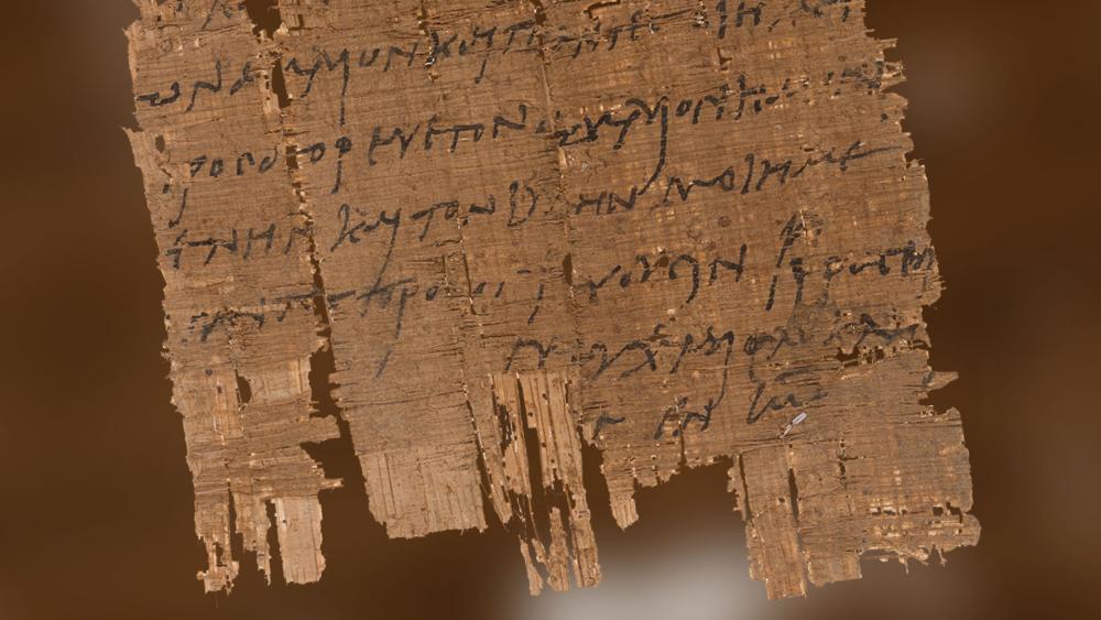 Cyperus papyrus paper