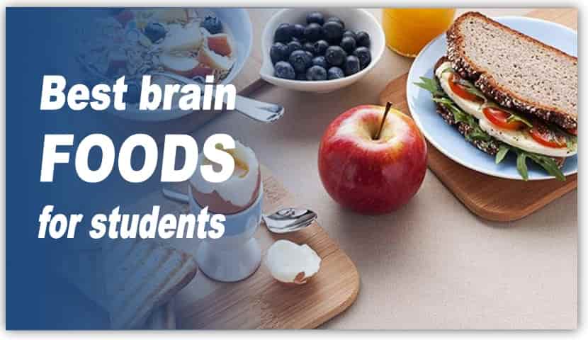 The best foods for the brain to increase study stamina
