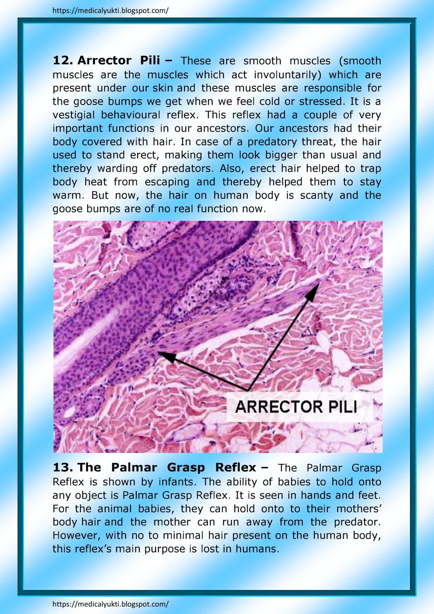 Vestigial organs Medical Yukti