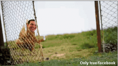 l2JJwups9UPmhWUIU_thumb%255B1%255D.gif
