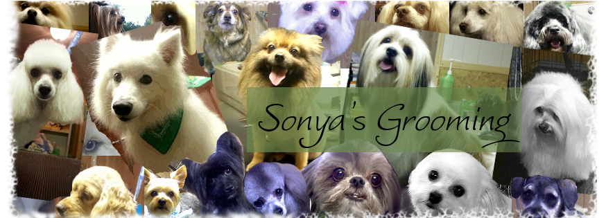 Sonya's Grooming