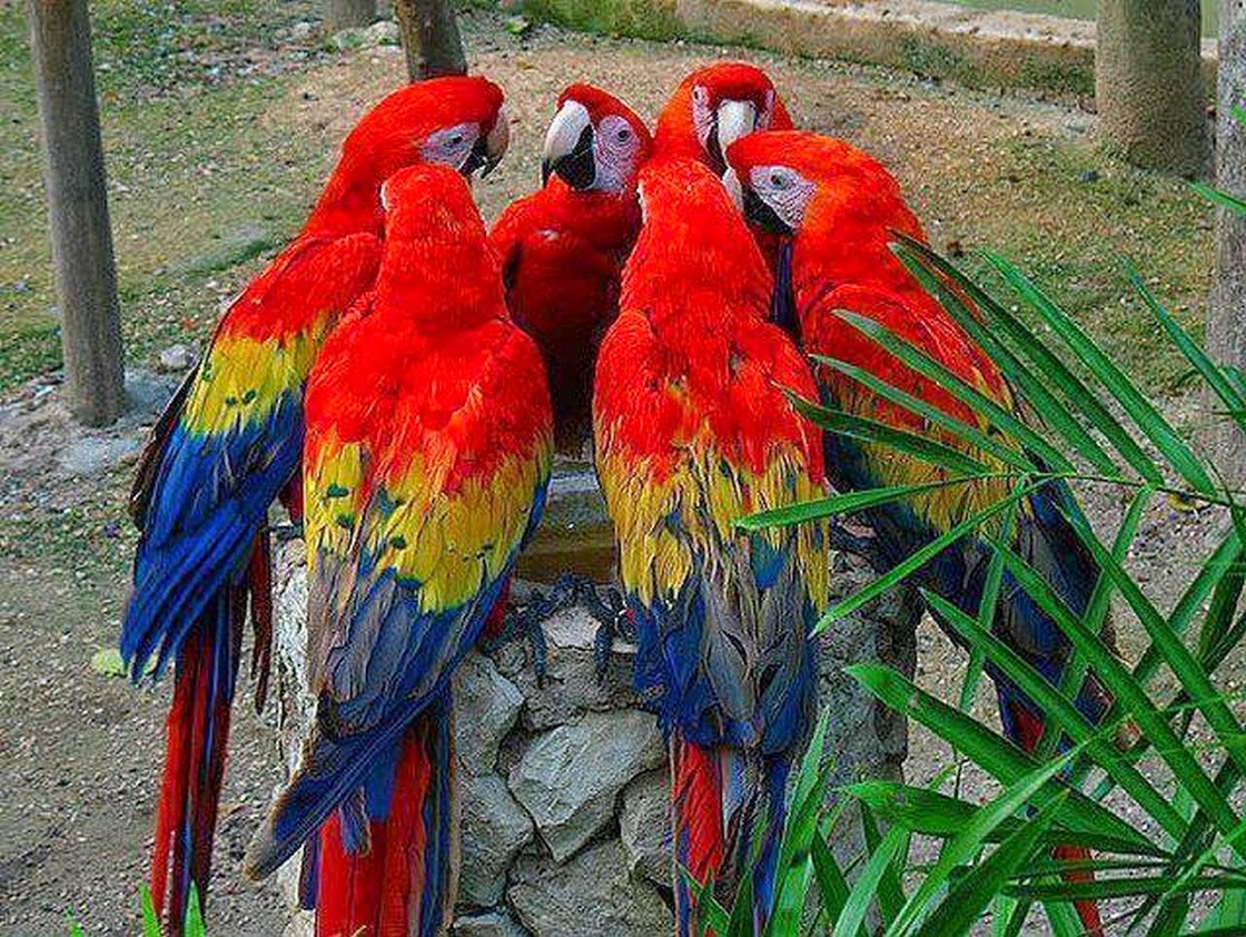 Chuck's Fun Page 2: Just animals - 20 photos