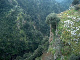 Umbriatico is surrounded by steep ravines