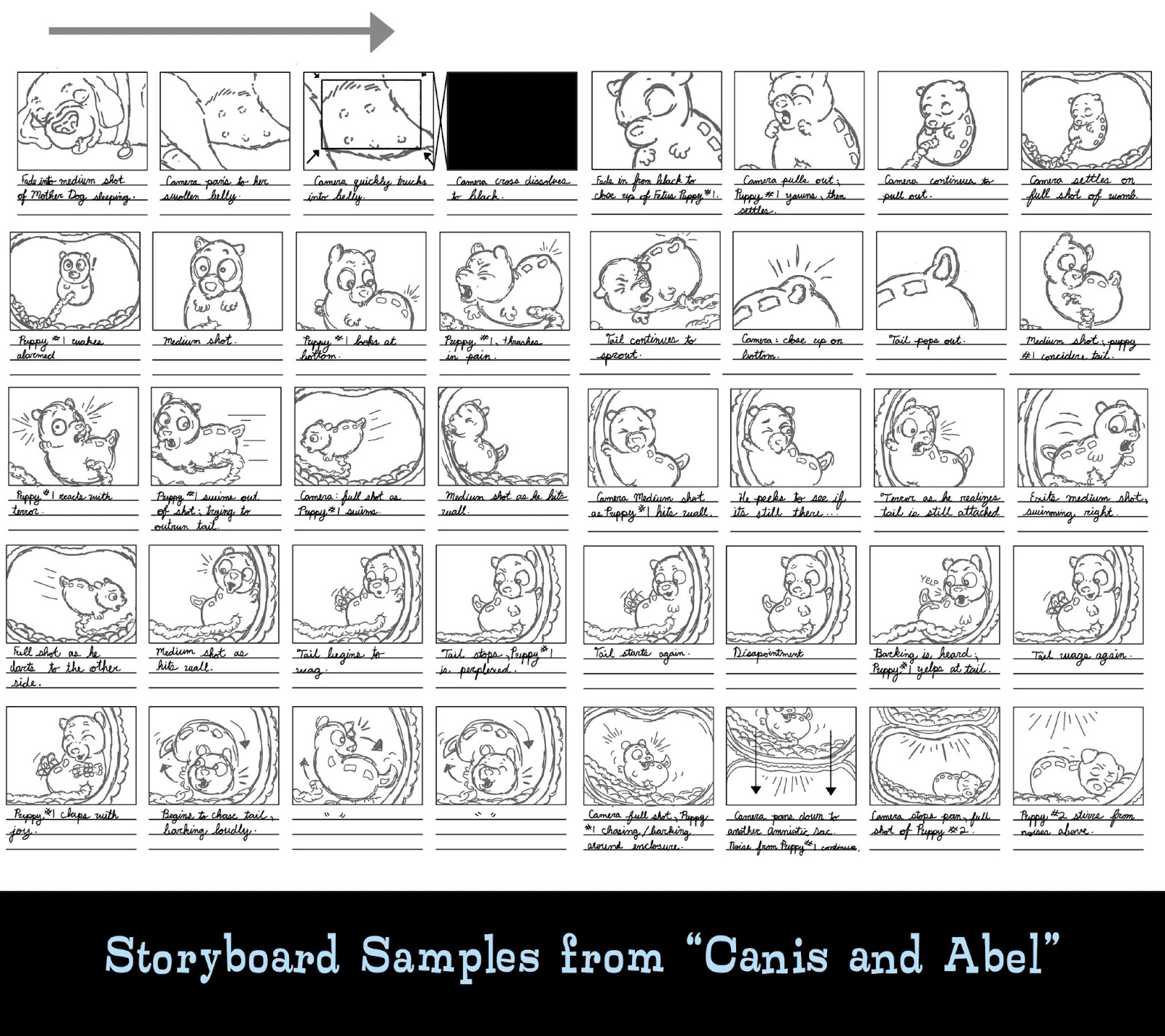 Hesser dissertation image