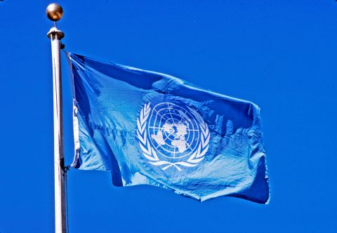 संयुक्त राष्ट्र संघ का  झंडा