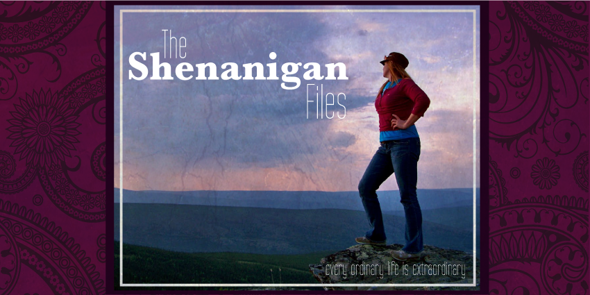 The Shenanigan Files