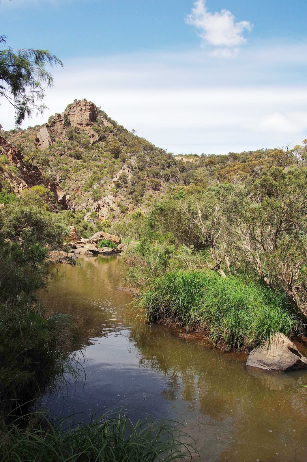 Hiking in Werribee State Park West Melbourne and Beyond