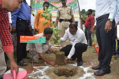 वन महोत्सव का आयोजन Organizing a Van Mahotsav, anjnewsmedia