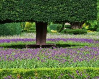 Topiary Garden at Levens Hall is one of the most famous English gardens you should visit. Find garden tips here.