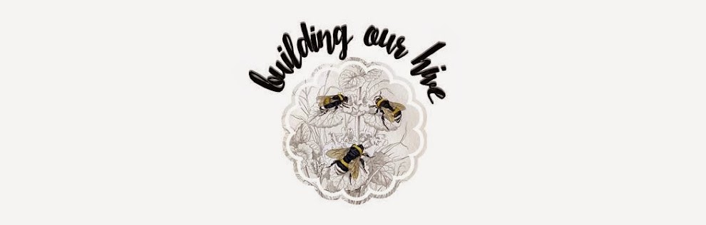 Building Our Hive