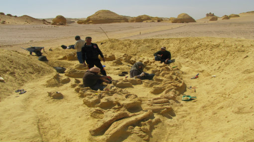 اسئلة معلومات عامة اسئله ثقافيه صعبه اسئلة ثقافية أسئلة ثقافية اساله ثقافيه ثقافة عامة ومعلومات سؤال وجواب ثقافة عامة ثقافة عامة