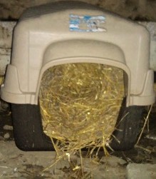 Straw for Cat Shelters: Ultimate Guide