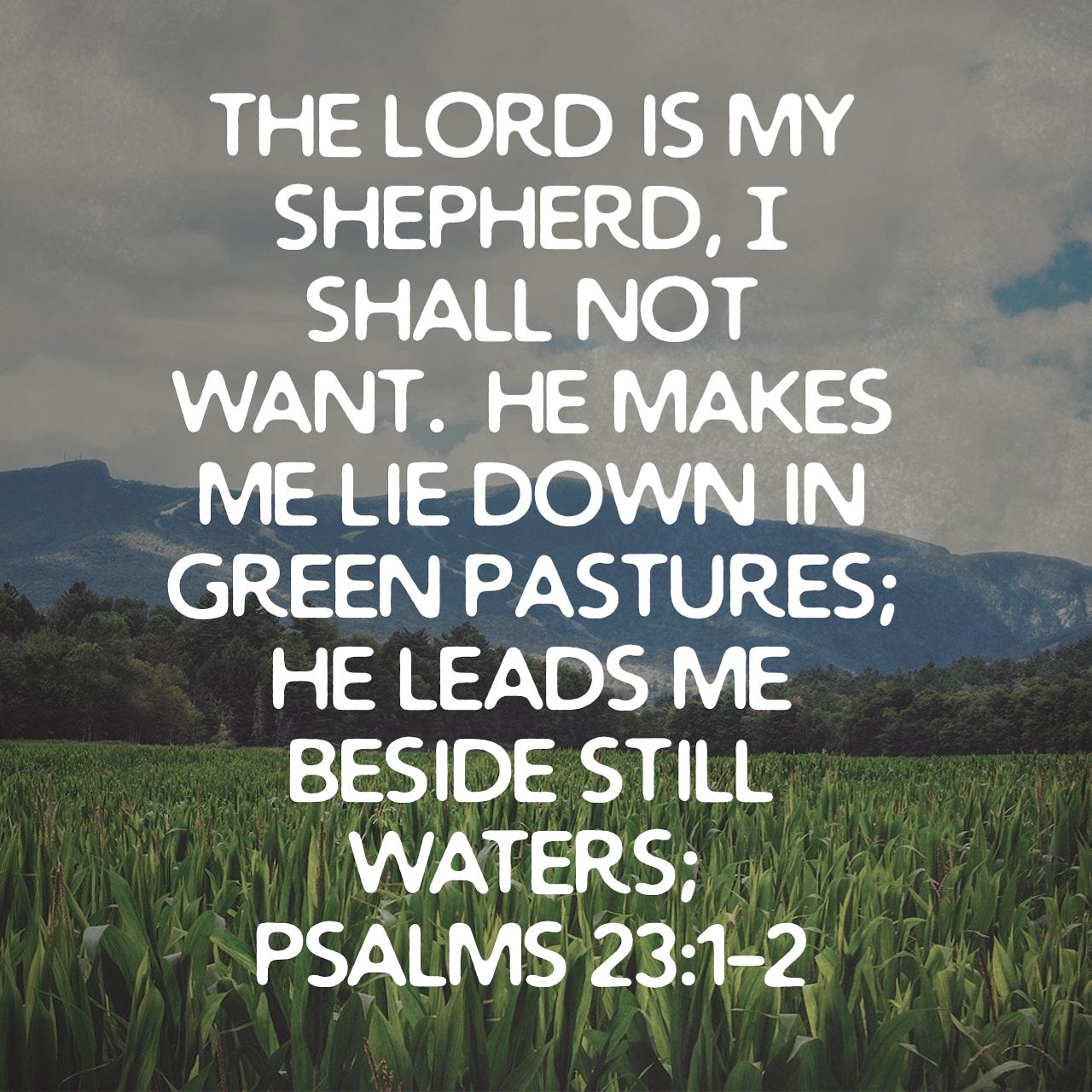 Sunday Verse Of The Day Bible Verses On Jesus