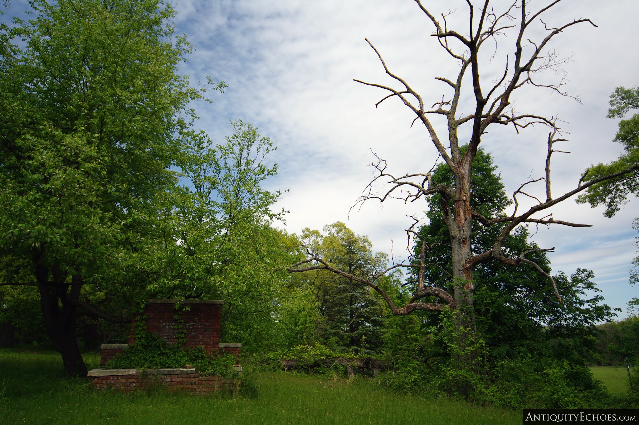 Overbrook Asylum - A Blank Slate