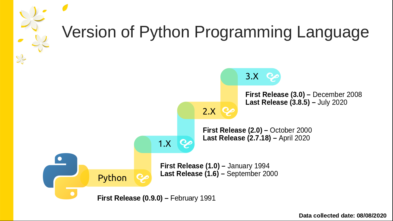 Version of Python Programming Language