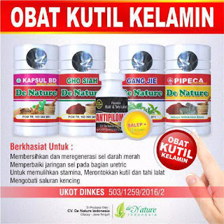 Obat Kutil Kelamin