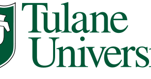 How many paul tulane awards are given image