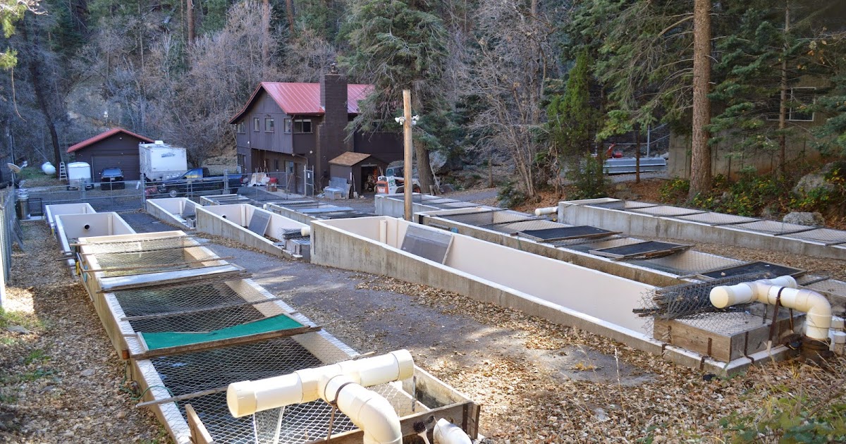 Mark Thomas Geology STERLING SPRINGS FISH HATCHERY