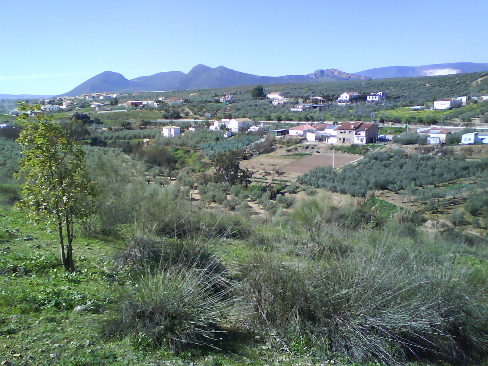 CRÓNICAS DE CASARICHE 1CASARICHE