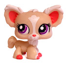 Littlest Pet Shop Special Chihuahua (#1892) Pet Littlest Pet Shop Special Chihuahua (#1892) Pet